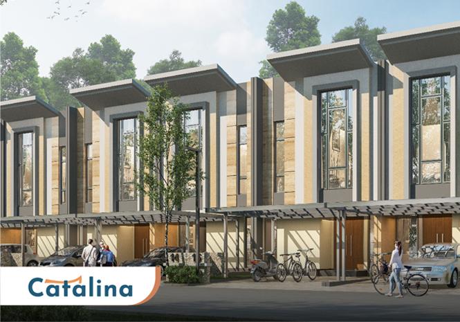 Mau Yang Lebih Besar? Catalina Paling Tepat Buat Kamu!