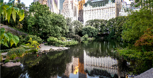 central park
